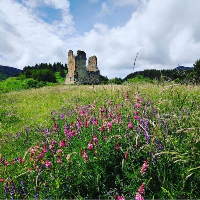 Gite L'Enclos O Rendez-Vous Roquefeuil-Pays De Sault- Avec Jardin Zewnętrze zdjęcie