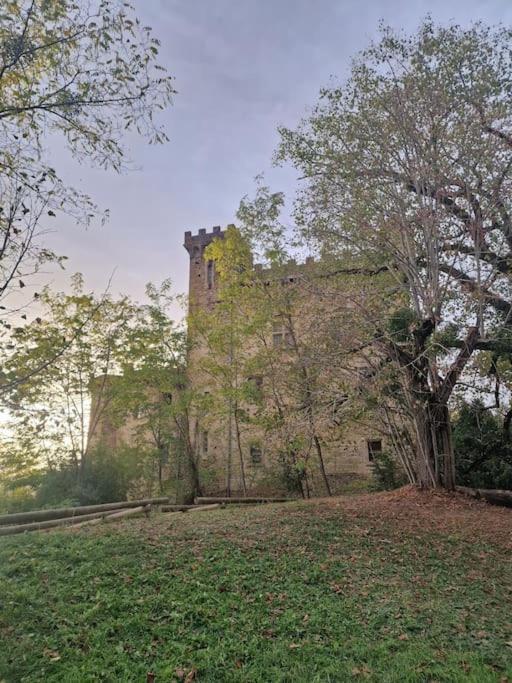 Gite L'Enclos O Rendez-Vous Roquefeuil-Pays De Sault- Avec Jardin Zewnętrze zdjęcie