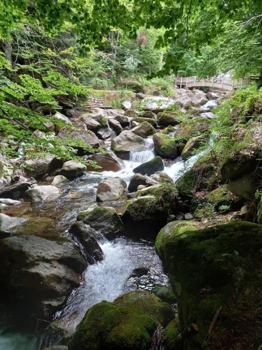 Gite L'Enclos O Rendez-Vous Roquefeuil-Pays De Sault- Avec Jardin Zewnętrze zdjęcie