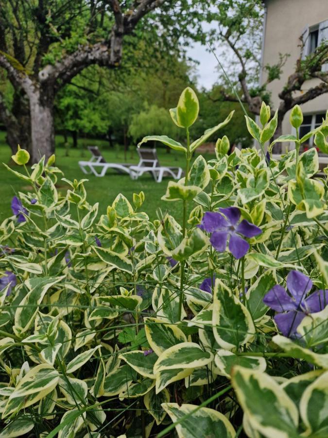 Gite L'Enclos O Rendez-Vous Roquefeuil-Pays De Sault- Avec Jardin Zewnętrze zdjęcie